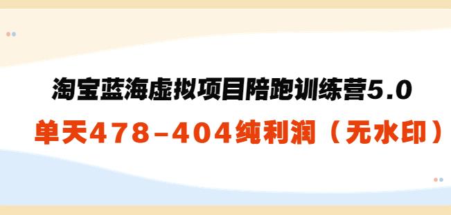 黄岛主：淘宝蓝海虚拟项目陪跑训练营5.0：单天478纯利润（无水印）-阿灿说钱