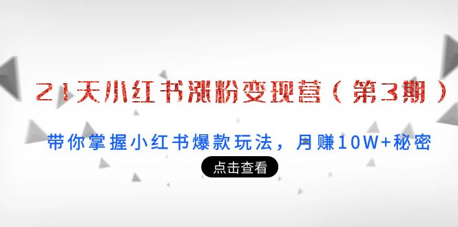 21天小红书涨粉变现营（第3期）：带你掌握小红书爆款玩法，月赚10W+秘密-阿灿说钱