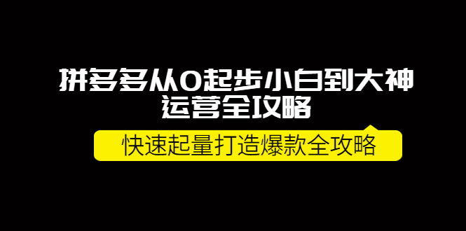 拼多多从0起步小白到大神运营全攻略，快速起量打造10W+爆款全攻略！-阿灿说钱