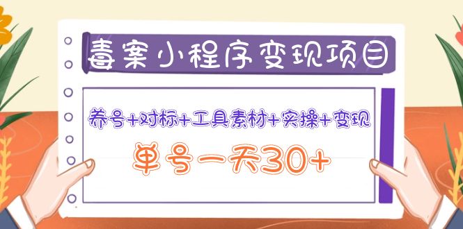 毒案小程序变现项目：养号+对标+工具素材+实操+变现，单号一天30+