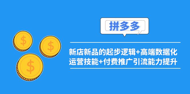 2022拼多多：新店新品的起步逻辑+高端数据化运营技能+付费推广引流能力提升-阿灿说钱