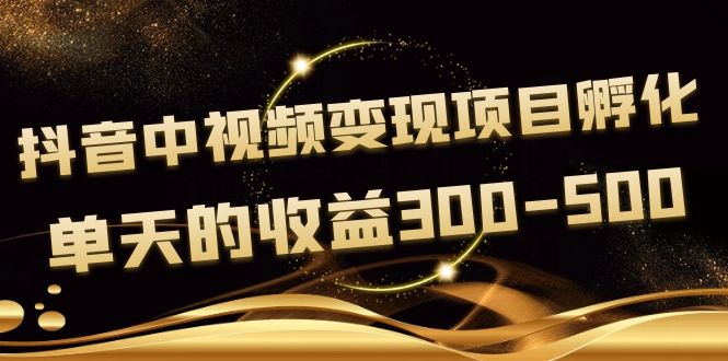 黄岛主《抖音中视频变现项目孵化》单天的收益300-500操作简单粗暴