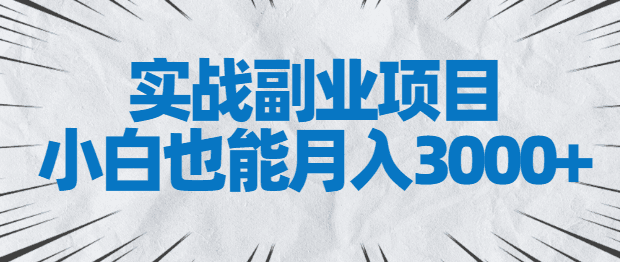 实战副业项目，小白也能月入3000+，易上手，人人可做【视频教程】-阿灿说钱