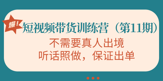 短视频带货训练营（第11期），不需要真人出境，听话照做，保证出单-阿灿说钱