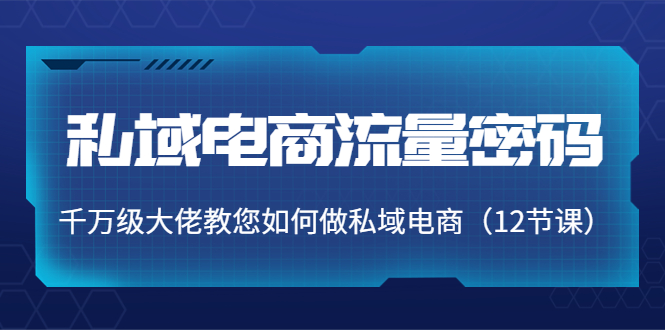 私域电商流量密码：千万级大佬教您如何做私域电商（12节课）-阿灿说钱