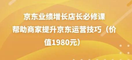 京东业绩增长店长必修课：帮助商家提升京东运营技巧（价值1980元）-阿灿说钱