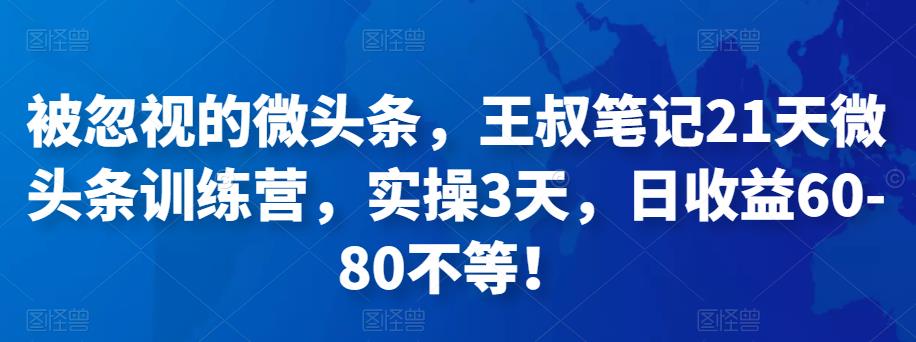 图片[1]-被忽视的微头条，王叔笔记21天微头条训练营，实操3天，日收益60-80不等-阿灿说钱