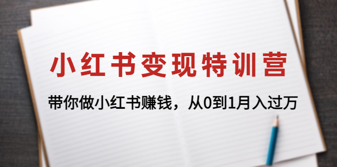 小红书变现特训营：带你做小红书赚钱，从0到1月入过万-阿灿说钱