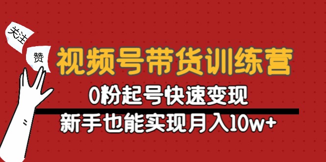 视频号带货训练营：0粉起号快速变现，新手也能实现月入10w+-阿灿说钱