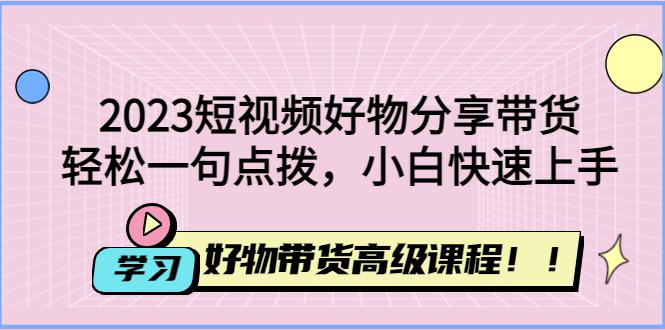 2023短视频好物分享带货，好物带货高级课程，轻松一句点拨，小白快速上手-阿灿说钱