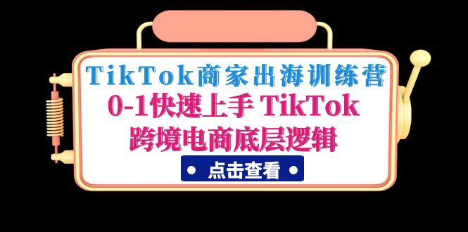 TikTok商家出海训练营：0-1快速上手 TikTok跨境电商底层逻辑-阿灿说钱