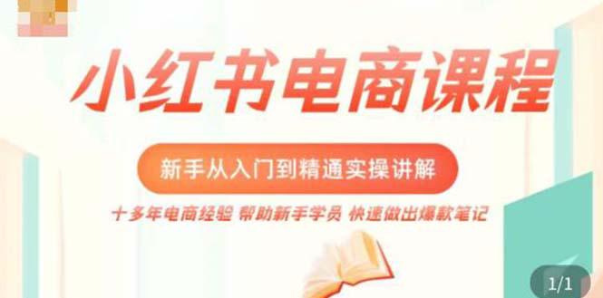 小红书电商新手入门到精通实操课，从入门到精通做爆款笔记，开店运营-阿灿说钱