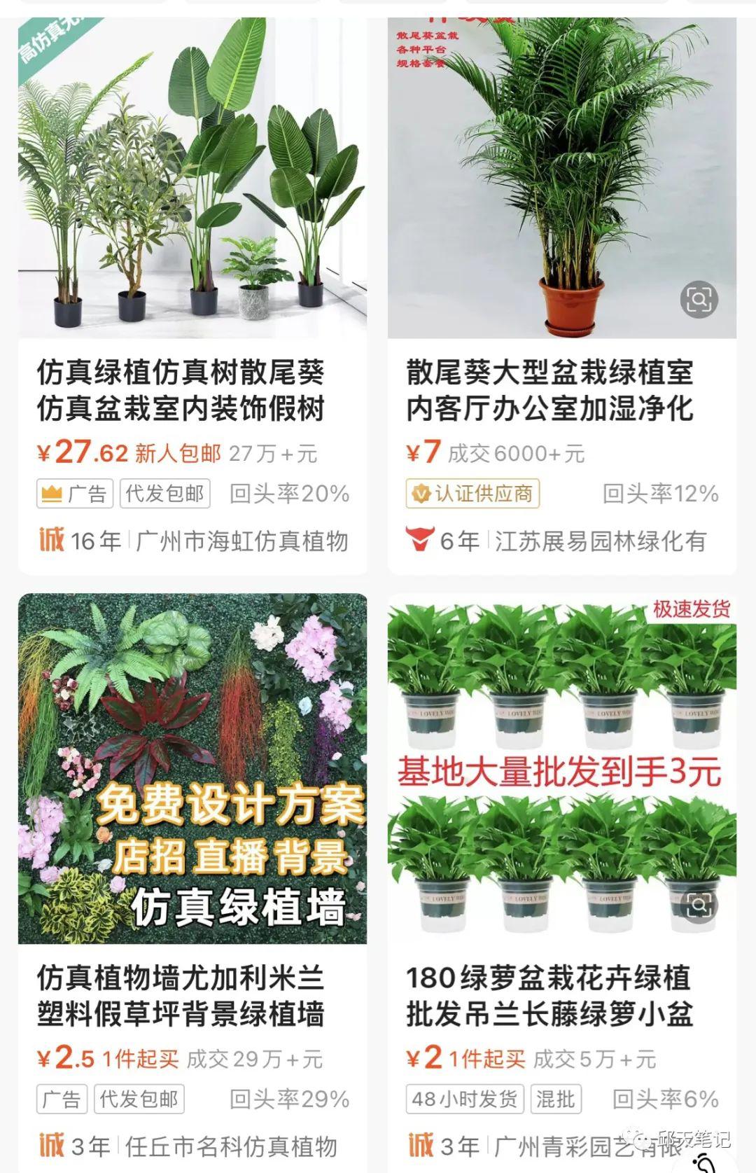 图片[2]-致富第一步，摆摊卖花卉绿植盆栽生意火-阿灿说钱