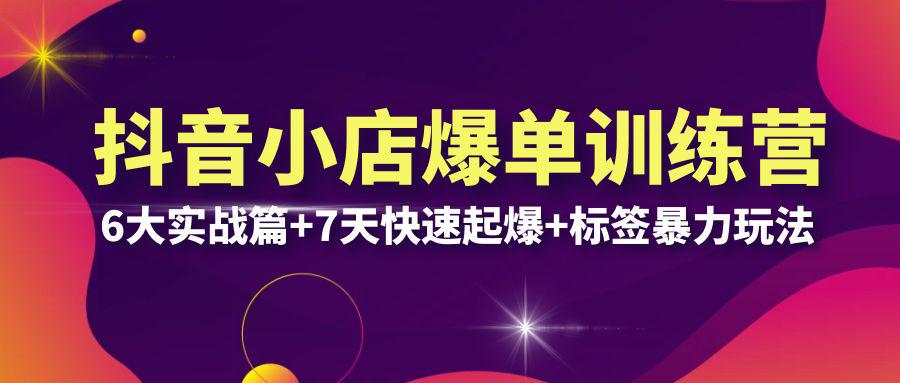 图片[1]-抖音小店爆单训练营VIP线下课：6大实战篇+7天快速起爆+标签暴力玩法，打造抖店爆单新策略，猜你喜欢流量提升技巧（32节）-阿灿说钱