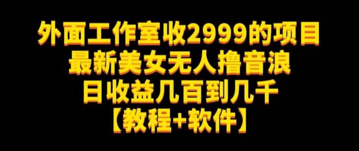 外面工作室收2999的项目最新美女无人撸音浪日收益几百到几千【教程 软件】（仅揭秘）