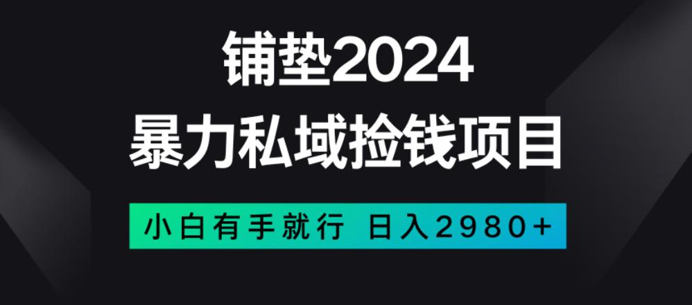 曝利私域捡钱项目，小白无脑操作，日入2980【揭秘】