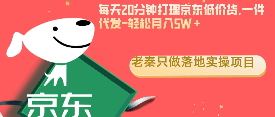 每天20分钟打理京东低价货,一件代发-轻松月入5W＋-阿灿说钱