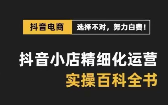 图片[1]-【抖音小店运营攻略】精选高利润产品，解决电商运营难题，保姆级实战讲解（28节课）-阿灿说钱