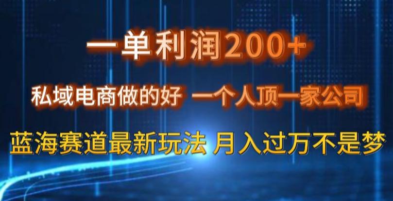 图片[1]-一单利润200私域电商做的好，一个人顶一家公司蓝海赛道最新玩法【揭秘】-阿灿说钱