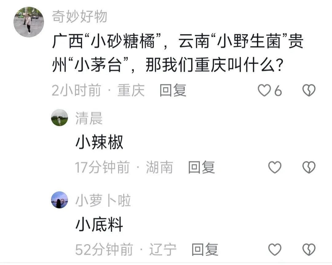 图片[7]-贵州“小折耳根”抵达哈尔滨，网友：豆腐脑不光加糖还加折耳根-阿灿说钱