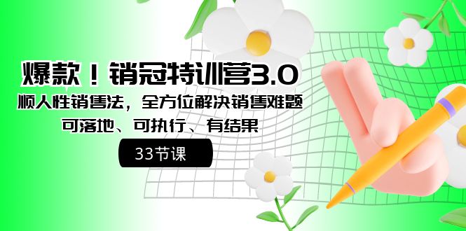 图片[1]-爆款！销冠特训营3.0之顺人性销售法，全方位解决销售难题、可落地、可执行、有结果-阿灿说钱