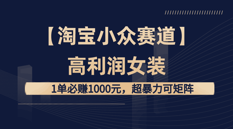 图片[1]-【淘宝赚钱攻略】高利润女装：1单必赚1000元，打造超暴力矩阵店铺！-阿灿说钱