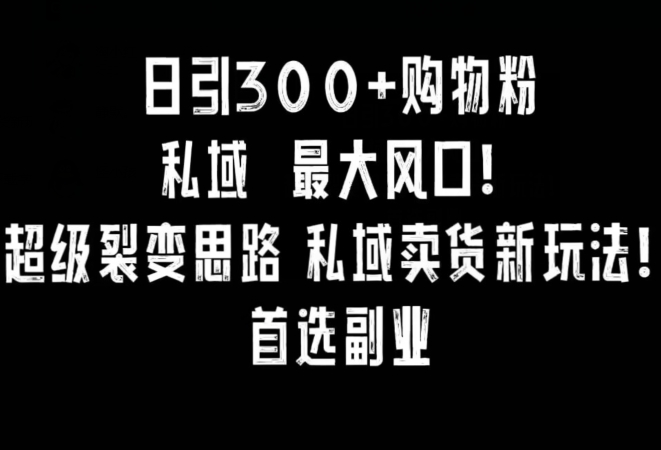 每日引300 购物粉，超级裂变新思路，私域卖货新玩法，小红书首选副业