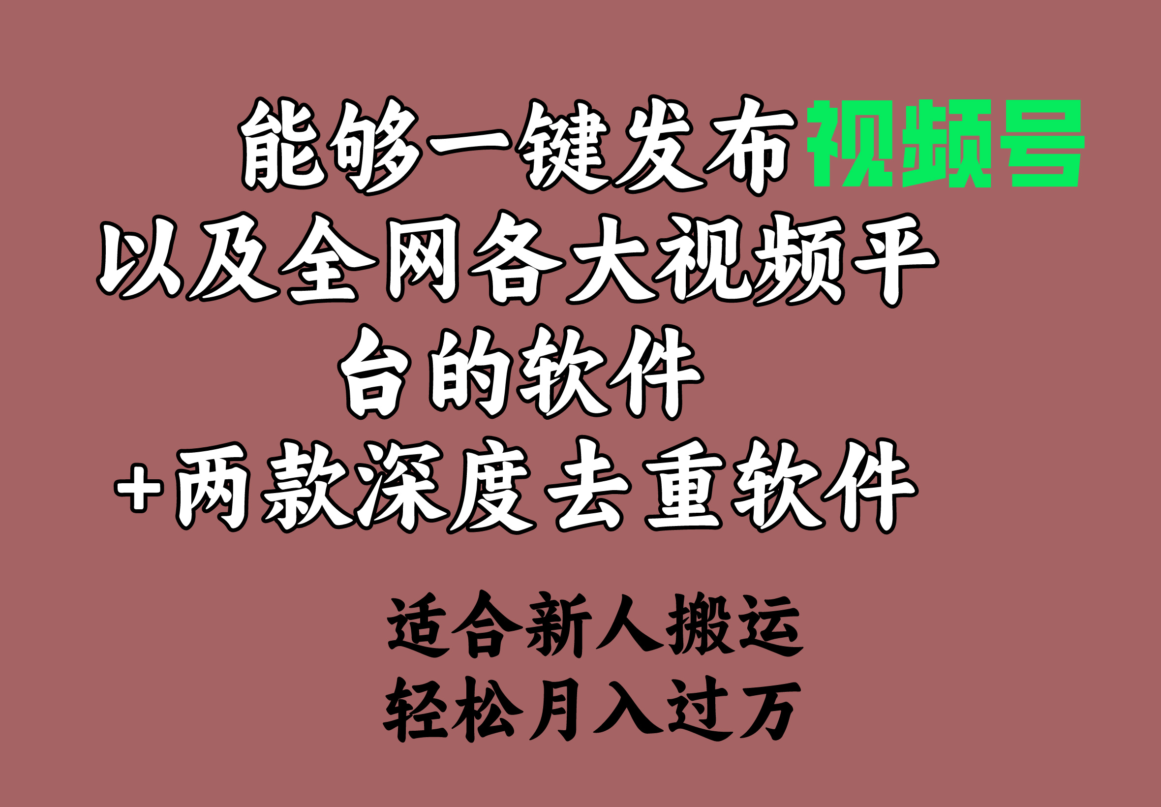 图片[1]-能够一键发布视频号以及全网各大视频平台的软件+两款深度去重软件-阿灿说钱