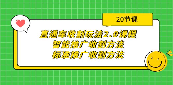 图片[1]-直通车收割玩法2.0课程：智能推广收割方法+标准推广收割方法（20节课）-阿灿说钱