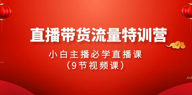 24年直播带货流量特训课，新手小白主播必学直播课（9节视频课）_抖汇吧