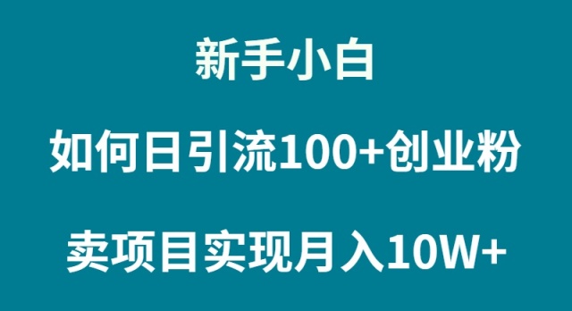 图片[1]-普通人小白如何通过卖项目实现月入10W+-阿灿说钱