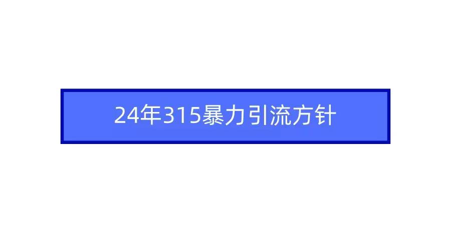 24年315暴力引流方针_抖汇吧