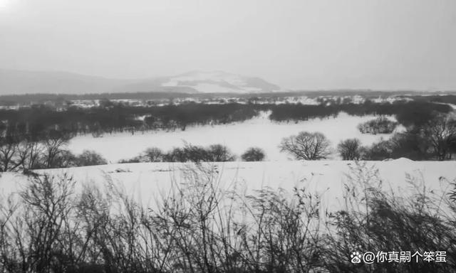 东北简直是E人“天堂” 探路旅游经济高质量发展-阿灿说钱