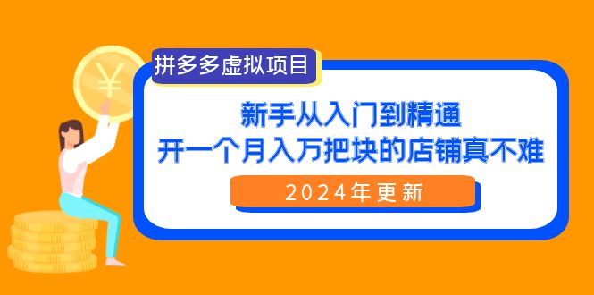 图片[1]-拼多多卖虚拟项目：零基础到精通，开一个月入万把块的店铺 真不难（24年新版）-阿灿说钱