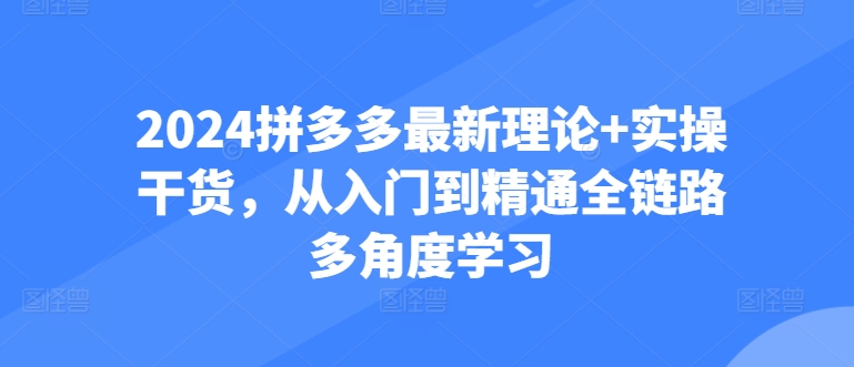 2024拼多多进阶宝典：从防比价到自然流，全攻略实操教学_抖汇吧