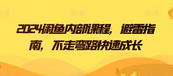 2024闲鱼卖货电商内部课程，避雷指南，不走弯路快速成长-阿灿说钱