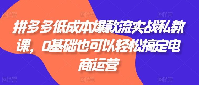 拼多多低成本爆款流实战私教课，0基础也可以轻松搞定电商运营 -1