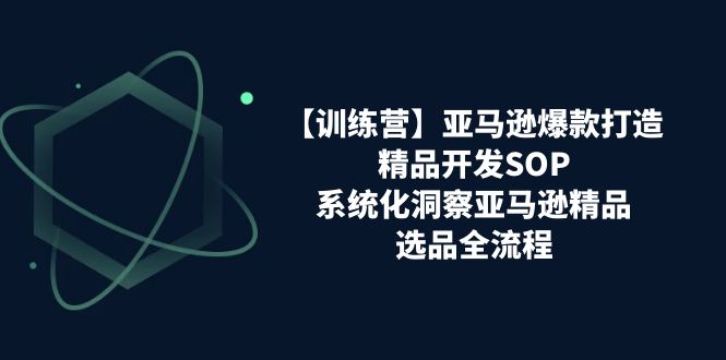 图片[1]-【训练营】亚马逊爆款打造之精品开发SOP，系统化洞察亚马逊精品选品全流程-阿灿说钱