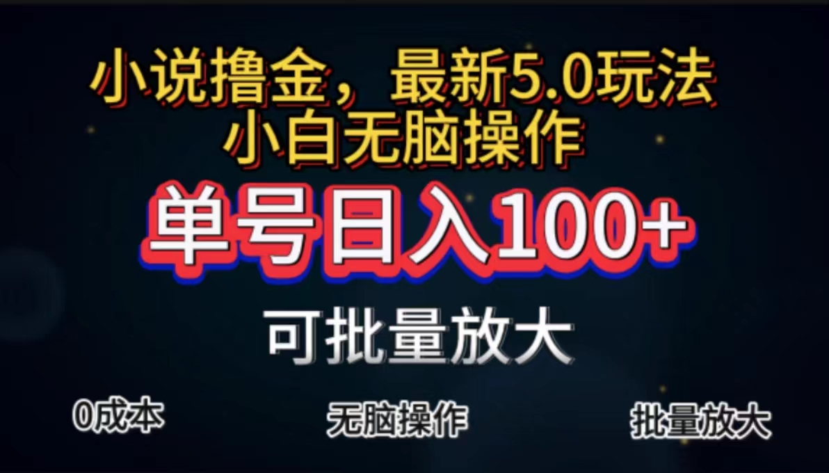 全自动小说撸金，单号日入100+小白轻松上手，无脑操作-阿灿说钱