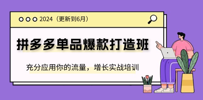 图片[1]-2024拼多多-单品爆款打造班(更新6月)，充分应用你的流量，增长实战培训-阿灿说钱