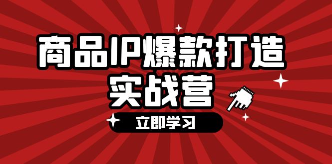 图片[1]-商品-IP爆款打造实战营【第四期】，手把手教你打造商品IP，爆款 不断-阿灿说钱