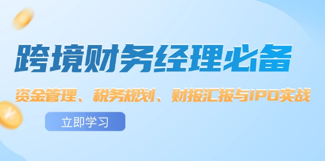 图片[1]-跨境 财务经理必备：资金管理、税务规划、财报汇报与IPO实战-阿灿说钱