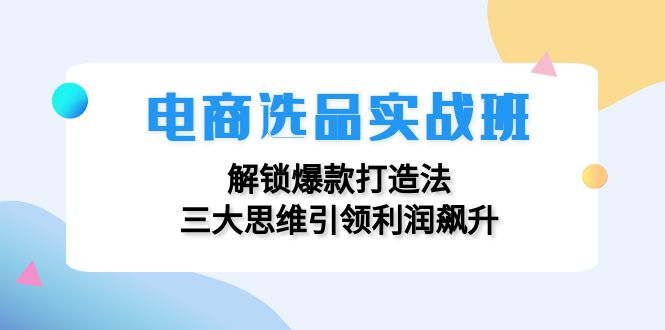 图片[1]-电商选品实战班：解锁爆款打造法，三大思维引领利润飙升-阿灿说钱