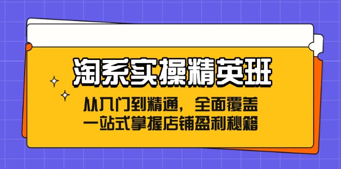 图片[1]-淘系实操精英班：从入门到精通，全面覆盖，一站式掌握店铺盈利秘籍-阿灿说钱