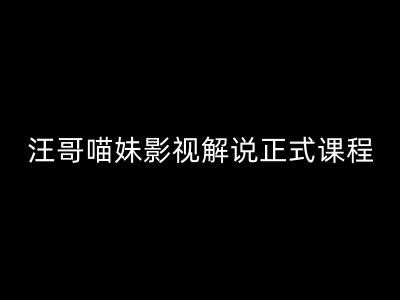 汪哥影视解说正式课程：剪映/PR教学/视解说剪辑5大黄金法则/全流程剪辑7把利器等等 -1