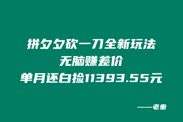 拼夕夕砍一刀全新玩法，无脑赚差价，单月还白捡11393.55元-阿灿说钱