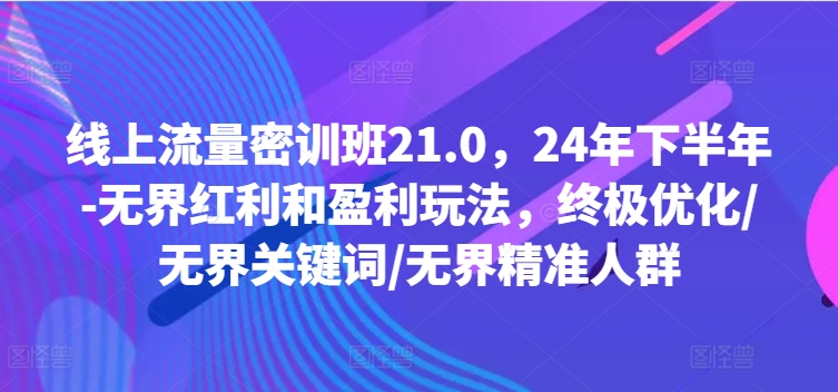 线上流量密训班21.0，24年下半年-无界红利和盈利玩法，终极优化/无界关键词/无界精准人群 -1