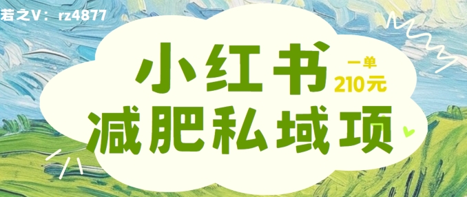 小红书减肥粉，私域变现项目，一单就达210元，小白也能轻松上手【揭秘】 -1