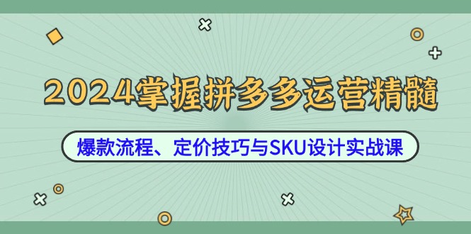 2024掌握拼多多运营精髓：爆款流程、定价技巧与SKU设计实战课 -1