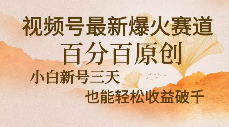 视频号最新爆火赛道，中老年粉深信不疑，百分百原创，新号三天收益轻松… -1